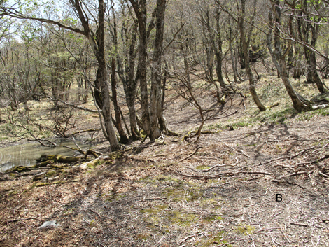 20140502hike (207)